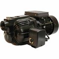 Excellent Appliances Flint & Walling-Star Water SJ05S 0.5 Shallow Well Jet Pump EX3246922